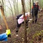 FIS proveo akciju pošumljavanja „Zeleno srce Ambyente“