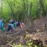 FIS proveo akciju pošumljavanja „Zeleno srce Ambyente“