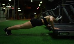 Fitness FIS Fitness FIS